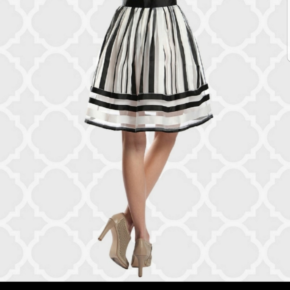 Ryu Elegant Black & Ivory Striped Skirt - Picture 4 of 7